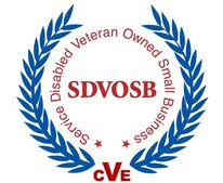 CVE - SDVOSB
